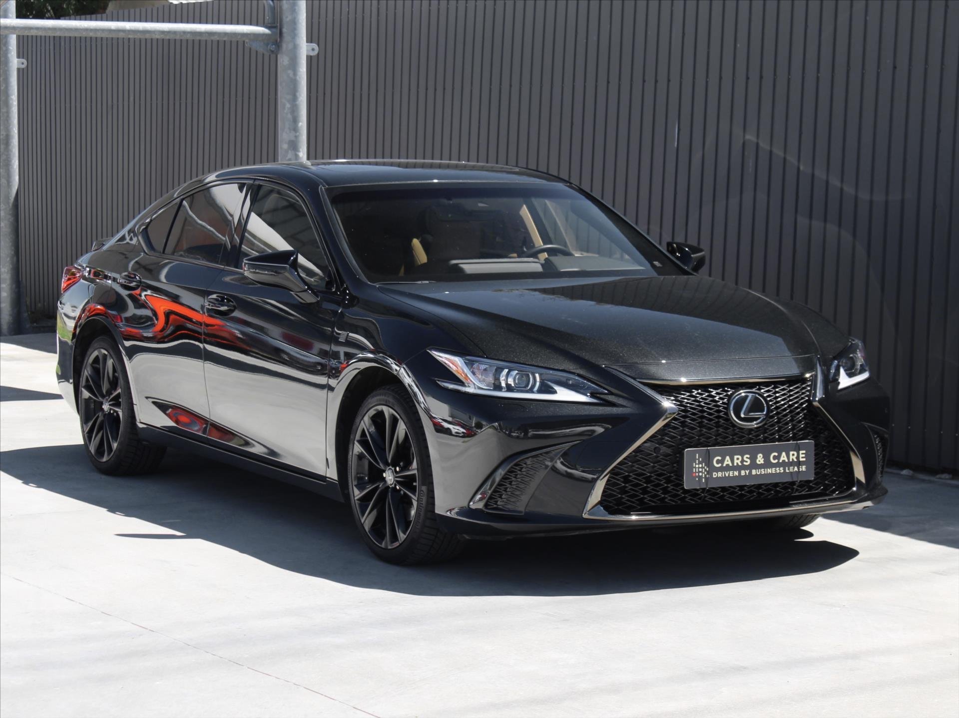 Lexus ES 300h